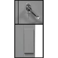 Counter-High Storage Cabinet, Steel, 2 Shelves, 42" H x 48" W x 24" D, Grey Infinity Industrial Services Inc.