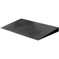 VN Series Economical Floor Scales - Ramp Infinity Industrial Services Inc.