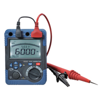 Insulation Resistance Tester, Digital Infinity Industrial Services Inc.