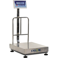 Cyclone 300 Bench and Platform Scale, 600 lbs. / 300 kg Capacity, 17-3/4" L x 23-3/5" W Infinity Industrial Services Inc.