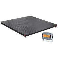 Defender 3000 Floor Scale, 5000 lbs. Capacity, 4' L x 4' W Infinity Industrial Services Inc.