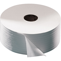 Advanced Toilet Paper, Jumbo Roll, 2 Ply, 751' Length, White Infinity Industrial Services Inc.