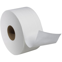 Rouleau de papier hygi&eacute;nique Advanced Soft Mini, Rouleau G&eacute;ant, 2 Pli, Longueur 751', Blanc Infinity Industrial Services Inc.