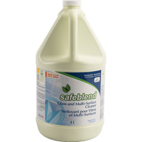 Glass & Multi-Surface Cleaner, 4 L, Jug Infinity Industrial Services Inc.
