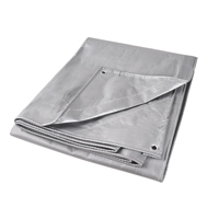 Tarp, Super Heavy-Duty, Silver, 10' x 8' x 12 mils Infinity Industrial Services Inc.