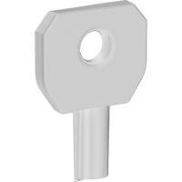 Cl&eacute; pour distributeur Lock or Not Infinity Industrial Services Inc.