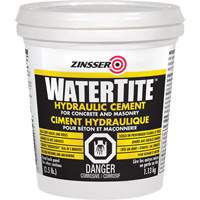 Watertite&reg; Hydraulic Cement Infinity Industrial Services Inc.
