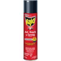 Insecticide contre fourmis, coquerelles et perce-oreilles Raid, 350 g, &agrave; base de solvant Infinity Industrial Services Inc.