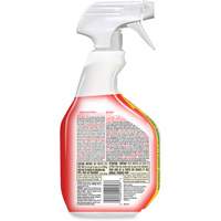 Nettoyant d&eacute;sinfectant contre les taches et odeurs biologiques, 946 ml, Bouteille &agrave; g&acirc;chette Infinity Industrial Services Inc.