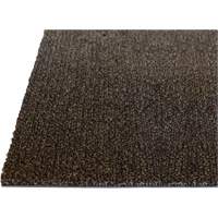 Palliser Indoor Matting, Wiper/Scraper, 6-1/2' x 82' x 5/16", Anglis Infinity Industrial Services Inc.
