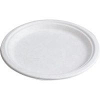 Compostable Plates Infinity Industrial Services Inc.