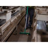 Push Broom Head, Fine/Stiff Bristles, 16-1/2", Polyester/Polypropylene, Green Infinity Industrial Services Inc.