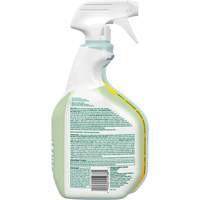 CloroxPro Clorox EcoClean Disinfecting Cleaner, 946 ml, Trigger Bottle Infinity Industrial Services Inc.
