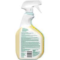 CloroxPro Clorox EcoClean All-Purpose Cleaner, 946 ml, Trigger Bottle Infinity Industrial Services Inc.