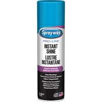 Pro Line Instant Shine for Plastic Surfaces, 11 oz., Aerosol Can Infinity Industrial Services Inc.