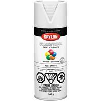 Appr&ecirc;t + peinture COLORmaxx, Blanc, Tr&egrave;s mat, 12 oz, Canette a&eacute;rosol Infinity Industrial Services Inc.