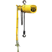 Palans pneumatiques Budgit s&eacute;rie 6000 Infinity Industrial Services Inc.
