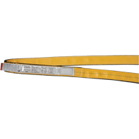 Polyester Slings, Single Ply, Endless, Type 5, 1" W x 3' L, 3200 lbs. Vertical Cap. Infinity Industrial Services Inc.