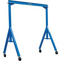 Fixed Height Gantry Crane Infinity Industrial Services Inc.