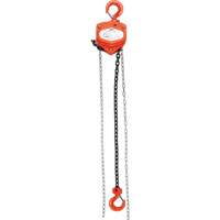 Chain Hoist, 10' Lift, 10000 lbs. (5 tons) Capacity, Alloy Steel Chain Infinity Industrial Services Inc.