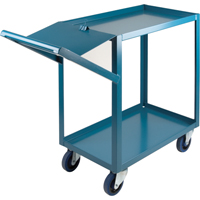 Order Picking Carts, 36" H x 18" W x 46" D, 2 Shelves, 1200 lbs. Capacity Infinity Industrial Services Inc.
