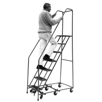 All Directional Ladders, 6 Steps, 16" Step Width, 60" Platform Height, Steel Infinity Industrial Services Inc.