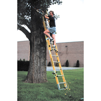 Industrial Heavy-Duty Extension Ladders (6200 Series), 375 lbs. Cap., 13' H, Grade 1AA Infinity Industrial Services Inc.