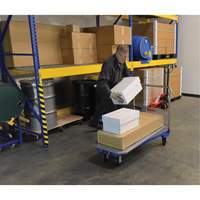 Platform Cart, 48" L x 24" W, 1500 lbs. Capacity, Mold-on Rubber Casters Infinity Industrial Services Inc.