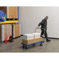 Platform Cart, 48" L x 24" W, 1500 lbs. Capacity, Mold-on Rubber Casters Infinity Industrial Services Inc.