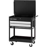Utility Cart, 2 Drawers, 30-1/4" L x 19" W x 35-3/4" H, Black Infinity Industrial Services Inc.