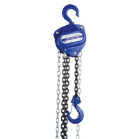 Chain Hoist, 20' Lift, 4000 lbs. (2 tons) Capacity, Load Chain Grade 80 Chain Infinity Industrial Services Inc.