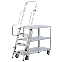 Aluminum Stock Picking Ladder Cart, Aluminum, 22" W x 51-1/2" D, 3 Shelves, 800 lbs. Capacity Infinity Industrial Services Inc.