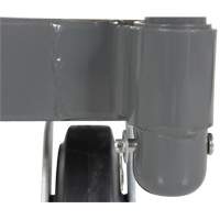 Platform Truck, 48" L x 24" W, 2000 lbs. Capacity, Rubber Casters Infinity Industrial Services Inc.