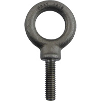 Alloy Steel Eye Bolt, 1" Dia., 1-1/4" L, 1480 lbs. (0.74 tons)/1480 lbs. Capacity Infinity Industrial Services Inc.