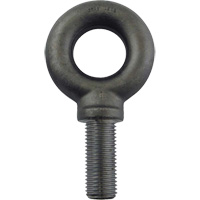 Alloy Steel Eye Bolt, 2-1/2" Dia., 3-1/2" L, 26600 lbs. (13.3 tons)/26600 lbs. Capacity Infinity Industrial Services Inc.