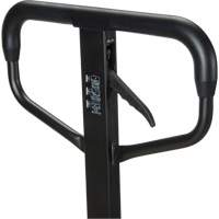 Quick-Lift Manual Pallet Truck, Steel, 48" L x 20.5" W, 5500 lbs. Capacity Infinity Industrial Services Inc.