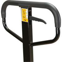 Manual Pallet Truck, Steel, 48" L x 27" W, 5500 lbs. Capacity Infinity Industrial Services Inc.