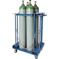 4-Cylinder Forklift Cylinder Storage Caddy Infinity Industrial Services Inc.