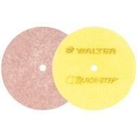 Quick-Step Instant Polish Discs, 5" Dia. Infinity Industrial Services Inc.