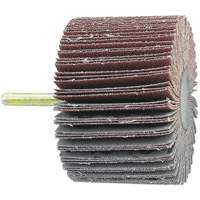 Shaft Mounted Flapwheel, 60 Grit, 1-1/2" x 1/4" Infinity Industrial Services Inc.