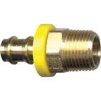 Grip-Tite Male Pipe Hose Fitting, 1/4" x 1/4" Dia, Brass Infinity Industrial Services Inc.