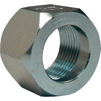 Dixon&reg; Mining Hex Nut, 1", Zinc Plated, NPT Thread Infinity Industrial Services Inc.