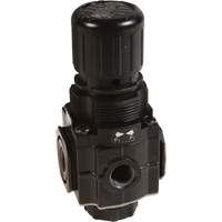 Series 1 Manifold Regulator, 1/4" NPT, 150 PSI Max. PSI, Standard Infinity Industrial Services Inc.