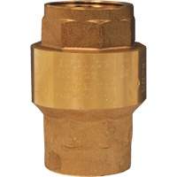 Horizontal Swing Check Valve Infinity Industrial Services Inc.
