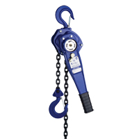 Lever Hoist with 3' Chain, 3' Lift, 500 lbs. (0.25 tons) Capacity Infinity Industrial Services Inc.