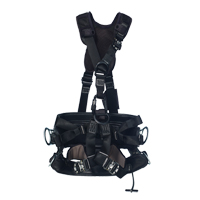 Fall Arrest Harnesses