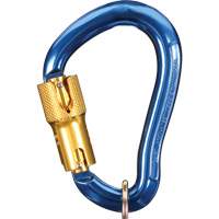 Nano-Lok Carabiner, Aluminum, 3600 lbs Capacity Infinity Industrial Services Inc.