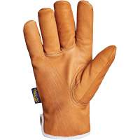 Gants Endura, Grand, Paume en Synth&eacute;tique, Doublure en Thinsulate Infinity Industrial Services Inc.