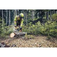 Flexvolt&reg; Cordless Chainsaw, 16", Battery Powered, 60 V Infinity Industrial Services Inc.