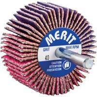 Shank Mounted Mini Flap Wheel, Ceramic Alumina, 40 Grit, 2" x 1" x 1/4" Infinity Industrial Services Inc.